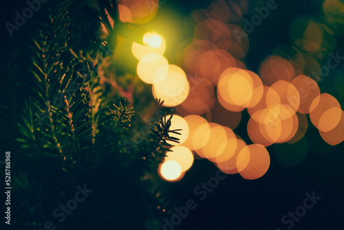 Glowing lights behind the 
Christmas tree.