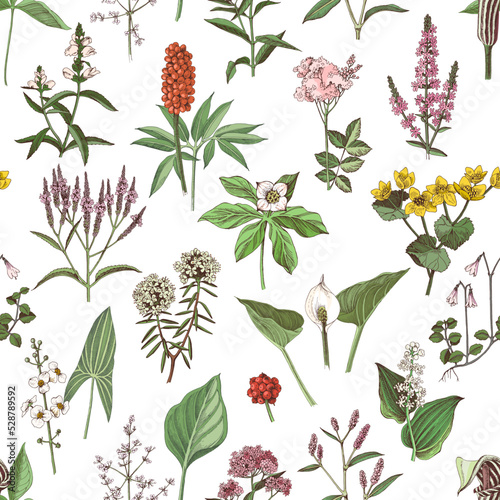 Floral seamless pattern, different swamp plants 