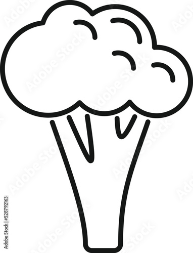 Vegetable broccoli icon outline vector. Cabbage food. Salad sweet