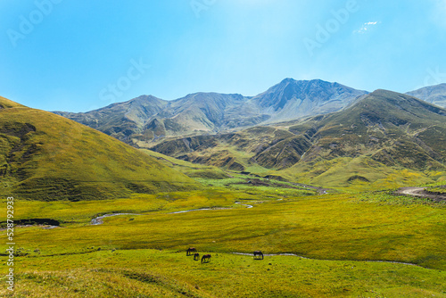 Idyllic alpine landscape with mountain and horses. Valley near Datvisjvari Pass in Khevsureti region, Georgia.