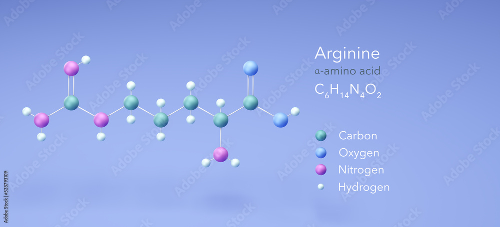 arginine, amino acid, molecular structures, 3d model, Structural Chemical Formula and Atoms with Color Coding arginine, amino acid, molecular structures, 3d model, Structural Chemical Formula and Atoms with Color Coding