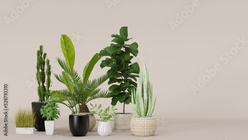 Home plants in pots on beige background. Plants lover concept, green interior details. Various potted plants. 3d rendering.