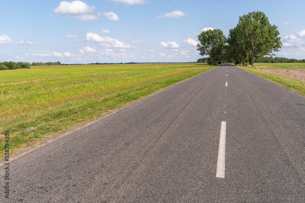 An empty roadway outside the city passes by trees growing on the side of the road. Travel by car away from the city and the hustle and bustle. Paved road on a sunny day without cars.