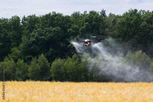 A modern solution in agricultural. Use of robotic systems with agriculture spraying drone fly to sprayed spraying chemical from insects - insecticides, fungicides, acaricide, or herbicides from weeds. photo