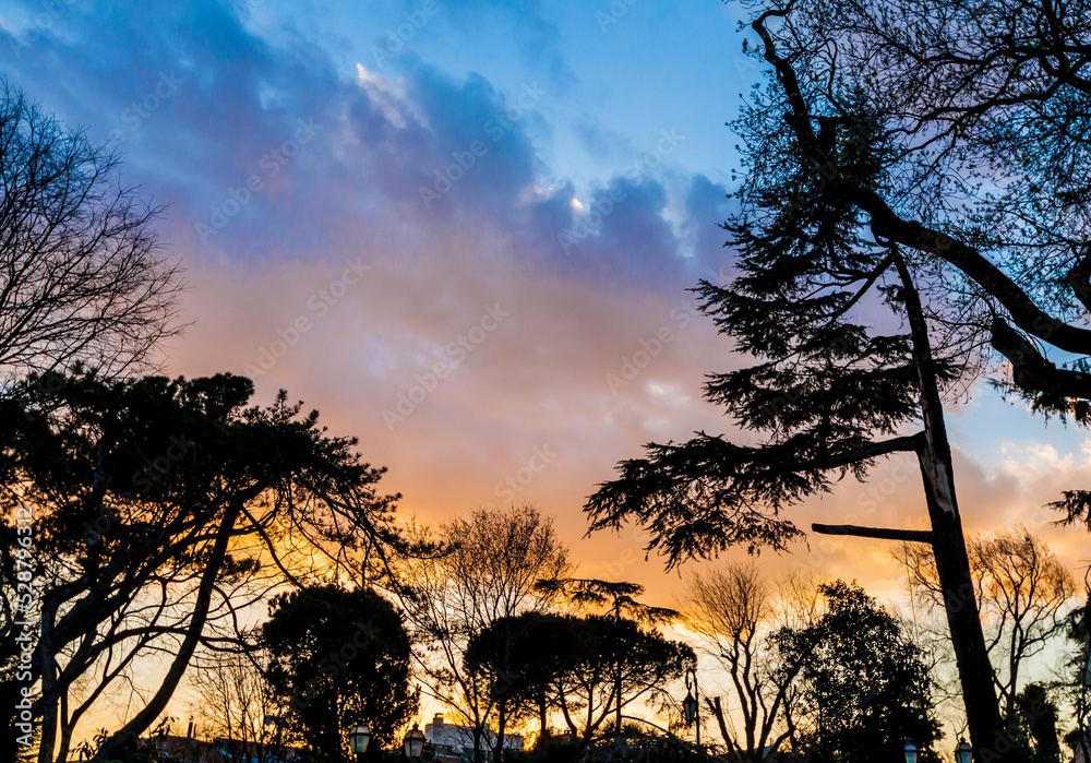 Naklejka premium cloudy blue orange sky and silhouette trees, Beautiful and scenic drying tree branches with sunset moment
