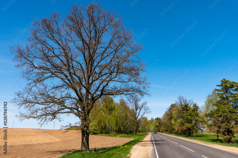 New modern asphalt in rural areas. High-quality conditions for business development in the field of cargo transportation and logistics. New modern asphalt in rural areas. High-quality conditions for business development in the field of cargo transportation and logistics.