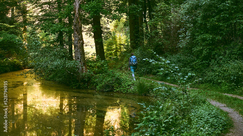 wandernde Frau mit Rucksack im Wald an einer goldenen Morgen nahe Manderscheid am Weiher am Lieserpfad, Eifel, Deutschland photo