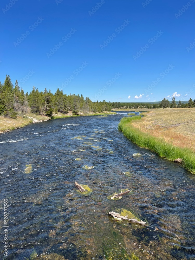 Fototapeta premium the river in the countryside