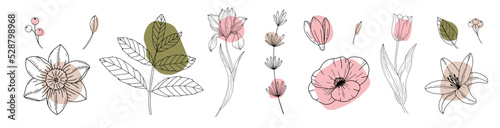 Set of flowers and leaf continuous Line art . Abstract Contemporary collage of geometric shapes in a modern trendy style. Vector for Beauty Concept, t-Shirt Print, postcard, poster