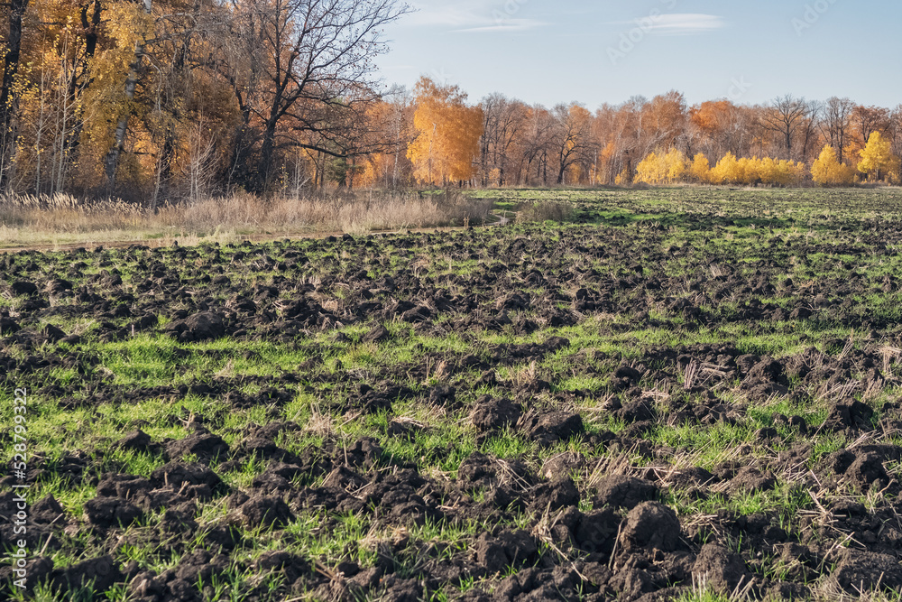 Agricultural fields prepared for winter season. Large clods of earth on the field. Agricultural fields prepared for winter season. Large clods of earth on the field.