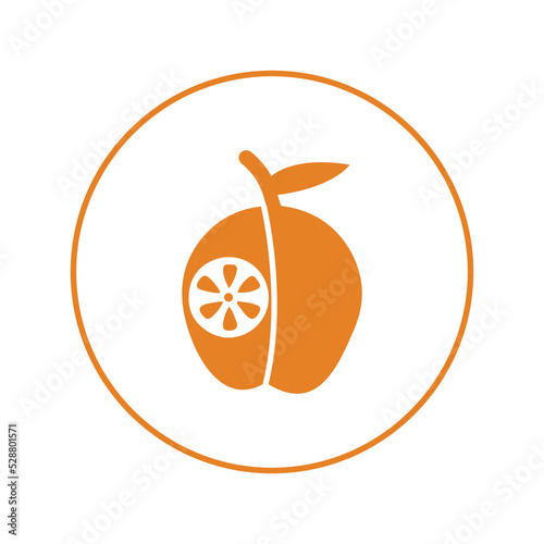 Citrus food orange fruit icon | Circle version icon |