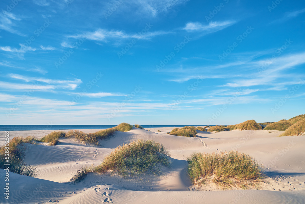 Wide sand beach in northern Denmark. High quality photo