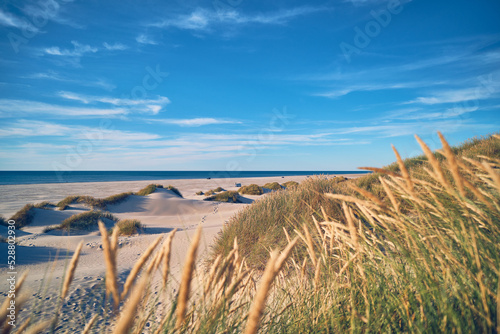 Sunshine at danish beach. High quality photo photo