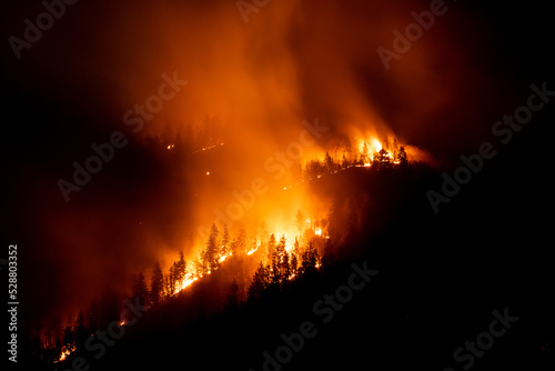 Mountain forest wildfire at night with burning trees