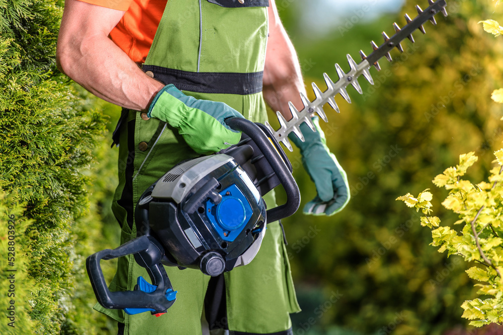Professional Hedge Trimmer in Hands of Gardener Professional Hedge Trimmer in Hands of Gardener