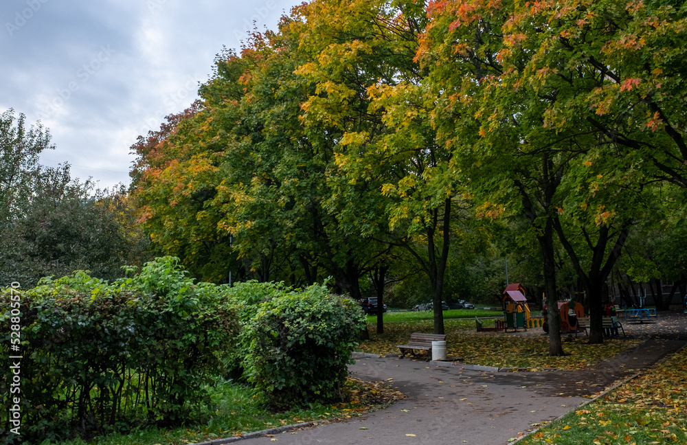 Colorful trees in the city square on a cloudy day in early autumn