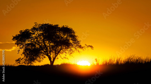 POR DO SOL NO SERTÃO 