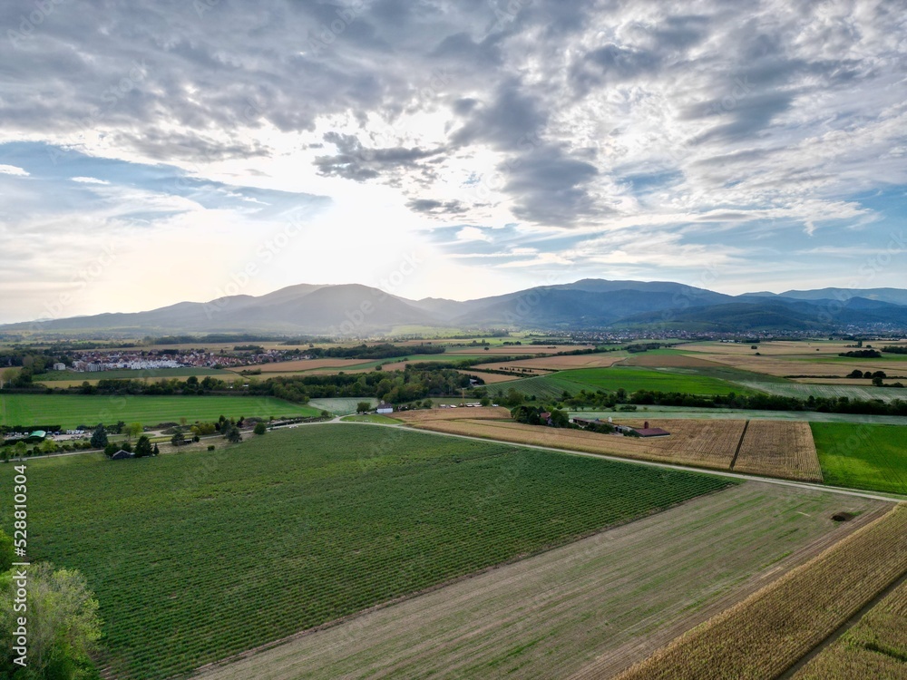 Panoramic aerial drone view of fields and roads near Feldkirch in Alsace plain at sunset, with Bollwiller, Soultz-Haut-Rhin and mountains in background, on a sunny summer day