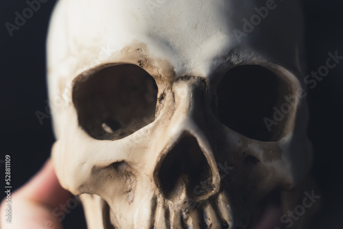 A person holding a real human ancient skull, upper half, eyes and nose close-up. High quality photo