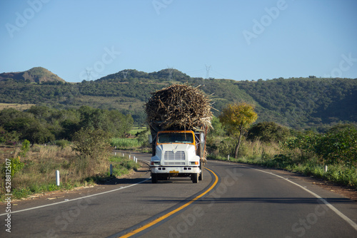 Camión de carga con caña de azucar carro cañero transportando carga sobre carretera en méxico 