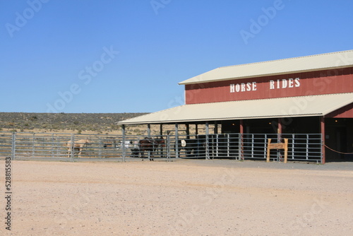 horse house