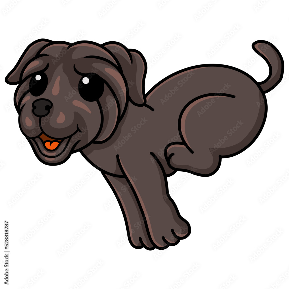Obraz premium Cute neapolitan mastiff dog cartoon running