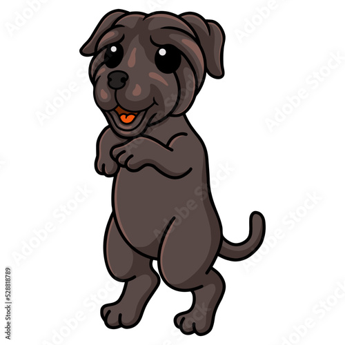 Cute neapolitan mastiff dog cartoon standing