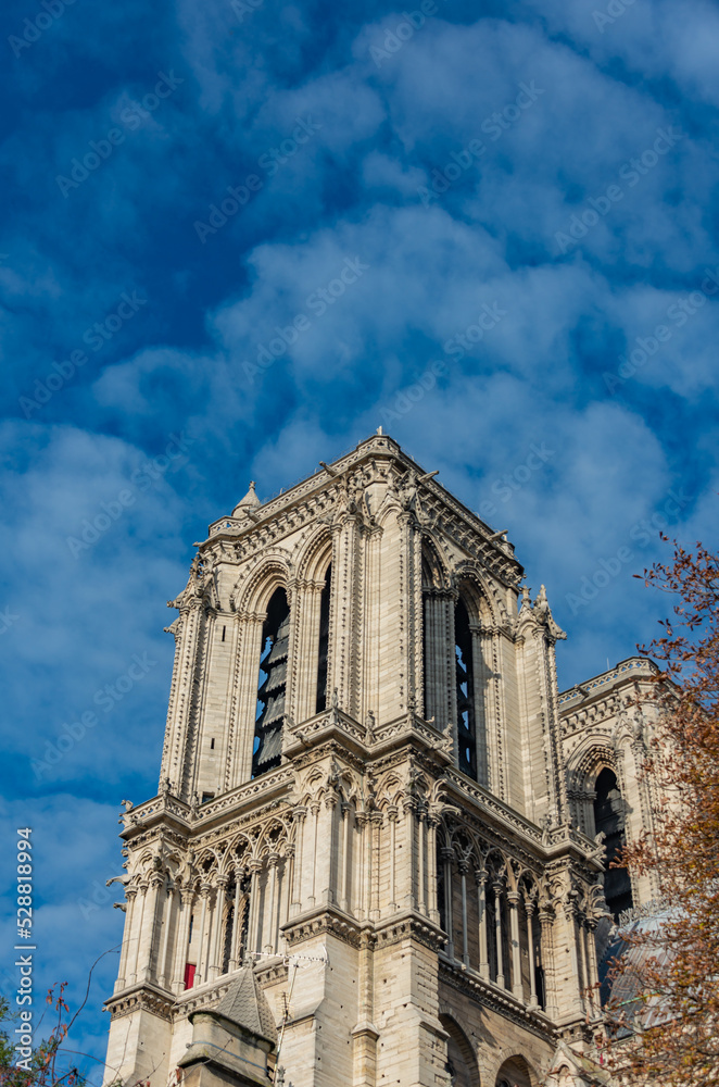 Fototapeta premium The famous Notre-Dame de Paris cathedral, French Gothic architecture Paris, France