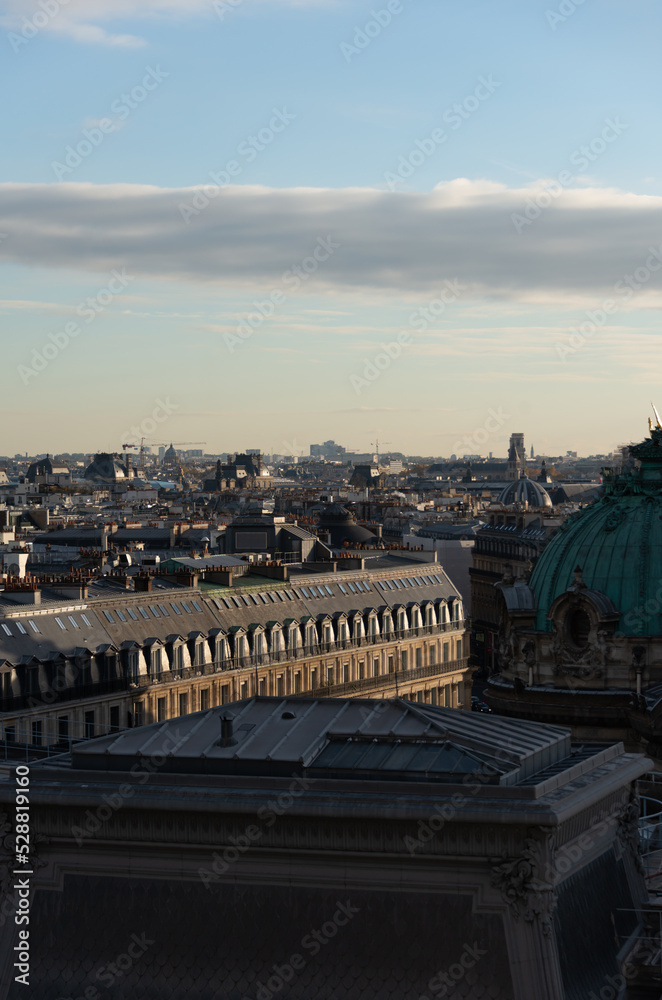 view from the top of the city of paris