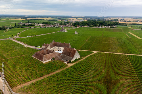 Panoramic view on grand cru vineyards in Côte-d'Or Burgundy winemaking region, Bourgogne-Franche-Comté, France