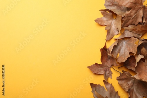 Dry autumn leaves on yellow background, flat lay. Space for text photo