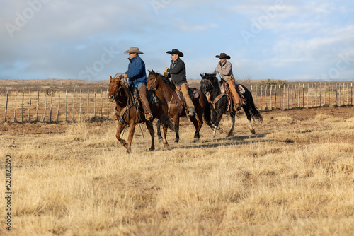 Working Cowboy