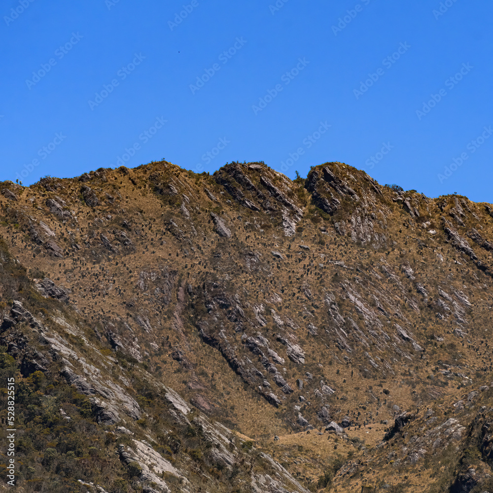 Rocky montains with frailejones close to San Pedro de Iguaque in Colombia on a beautiful blue sky day.