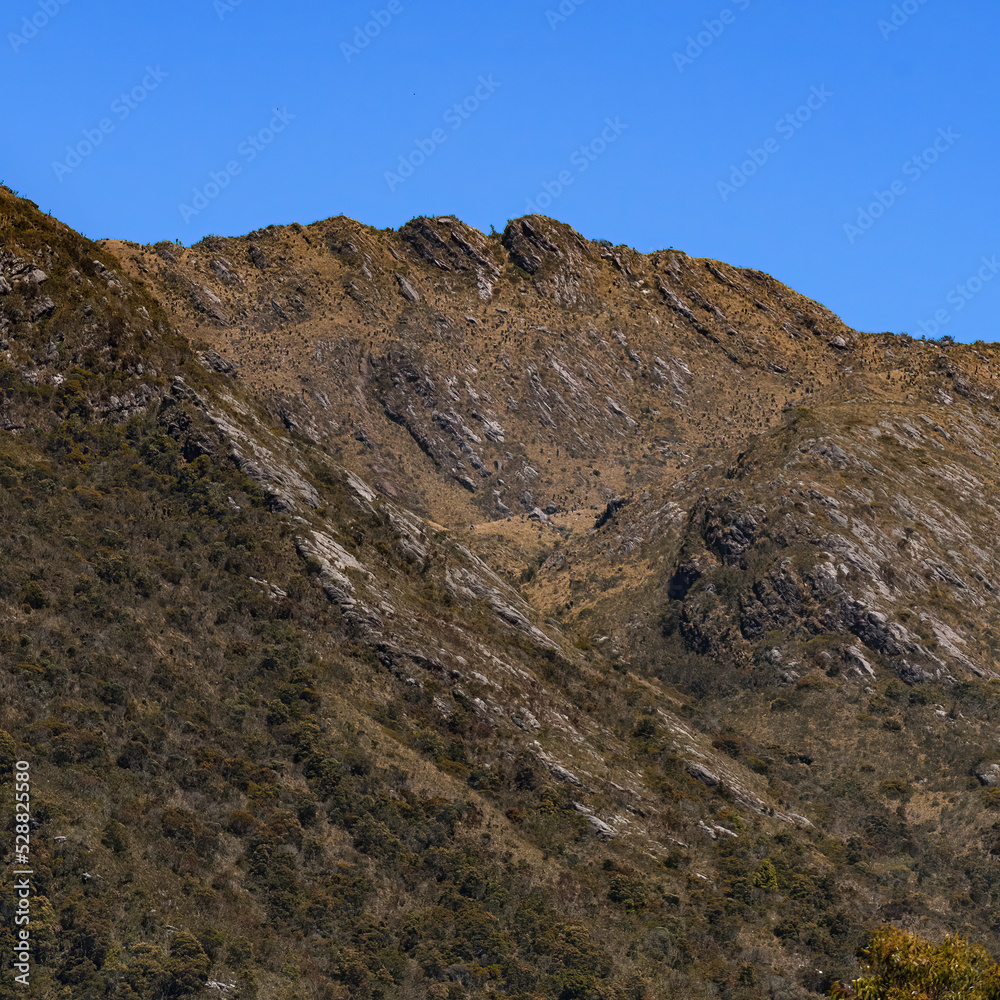 Rocky montains with frailejones close to San Pedro de Iguaque in Colombia on a beautiful blue sky day.