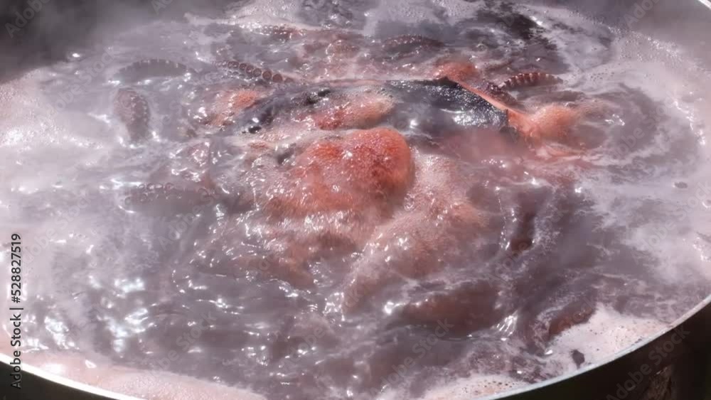 Octopus cooked with boiled water. Galician Ocotpus Slow motion video Octopus cooked with boiled water. Galician Ocotpus Slow motion video