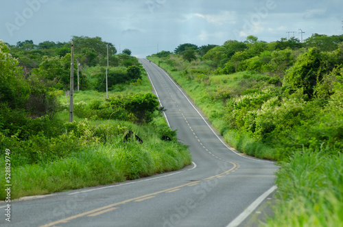 RODOVIA  photo