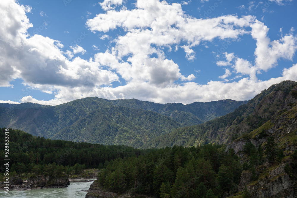 A fast-flowing wide and full-flowing mountain river. Large rocks stick out of the water. Big mountain river Katun, turquoise color, in the Altai Mountains, Altai Republic.