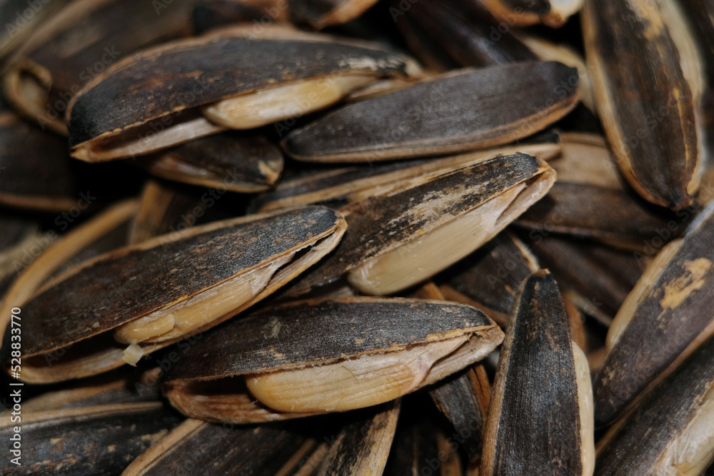 Macro texture of sunflower seed Macro texture of sunflower seed