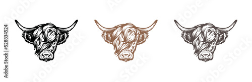 Head of highland cattle cow illustration hand drawn symbol icon logo vector. Farm logo design