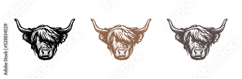 Head of highland cattle cow illustration hand drawn symbol icon logo vector. Farm logo design