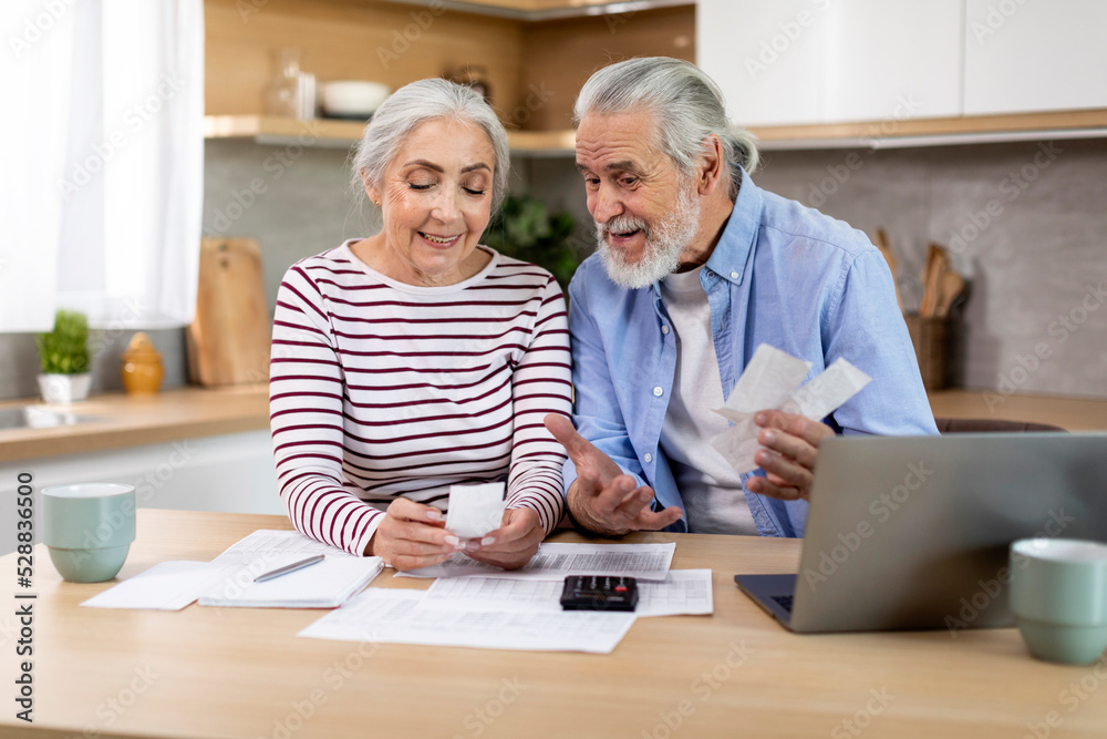 Smiling Elderly Spouses Checking Receipts While Planning Family Budget At Home Smiling Elderly Spouses Checking Receipts While Planning Family Budget At Home