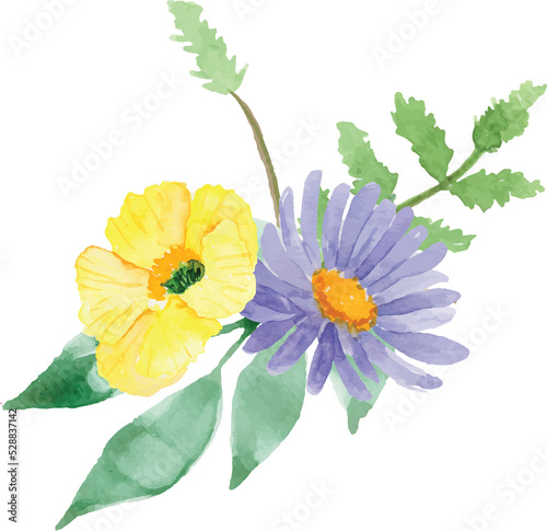 Fototapeta Naklejka Na Ścianę i Meble -  Flower Watercolor