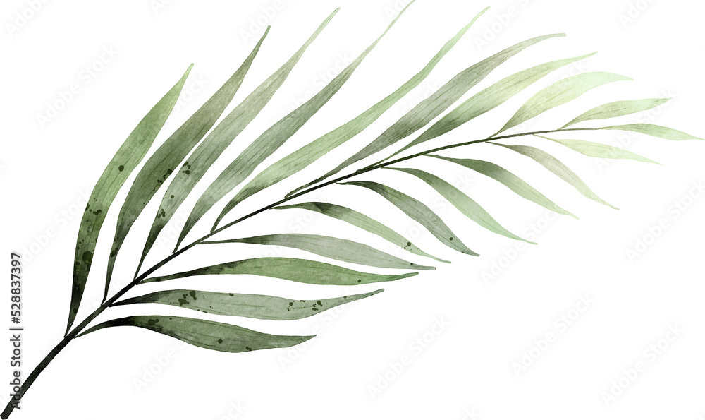 Watercolor Leaves Elements