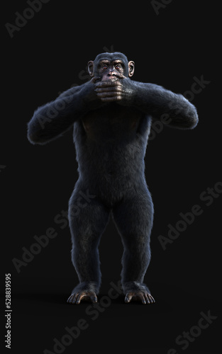 3d illustration chimpanzee monkeys  standing and closing the mouth isolated on black background.