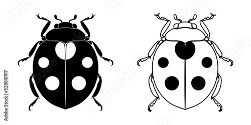 illustration silhouette of a ladybug