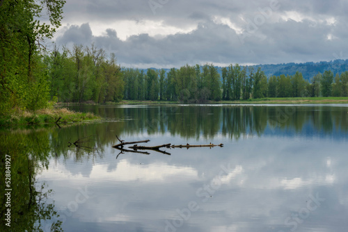 Steigerwald Lake National Wildlife Refuge, Camas Washington 