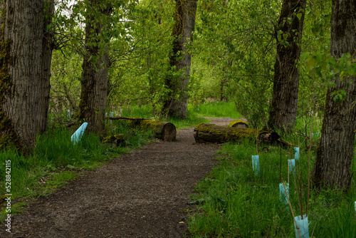 Steigerwald Lake National Wildlife Refuge, Camas Washington 