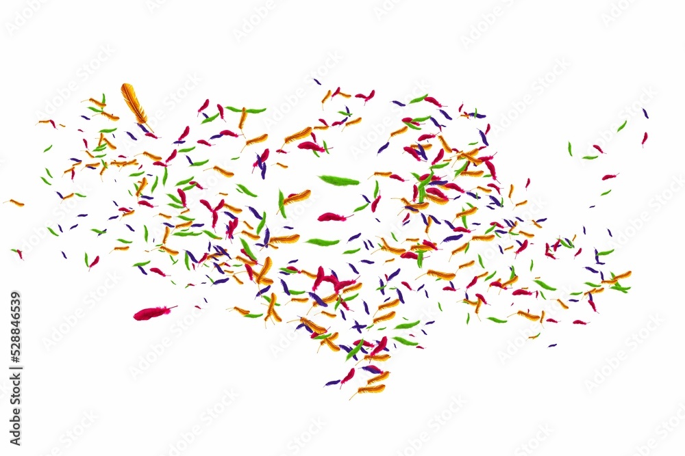 Many feathers blowing in the breeze Many feathers blowing in the breeze
