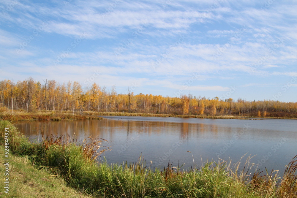 autumn landscape with lake, Elk Island National Park, Alberta