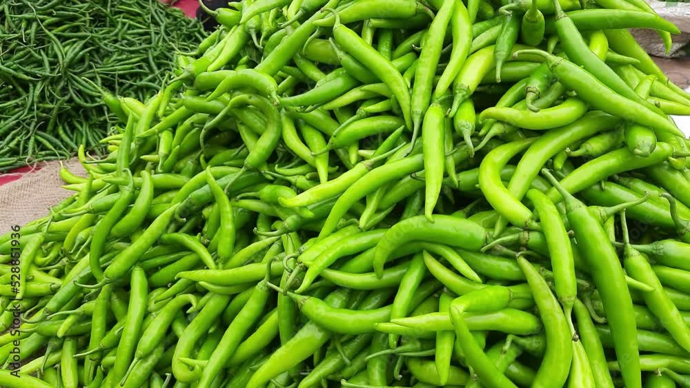Close-up top view of freshly harvested green chilies, and capsicum, displayed in the weekly market for sale in Maharashtra India. Close-up top view of freshly harvested green chilies, and capsicum, displayed in the weekly market for sale in Maharashtra India.